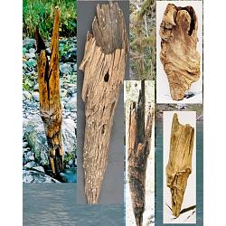 4 Large Knot Pots, 20 To 36 Inches Tall